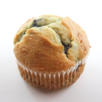 Blueberry Muffin